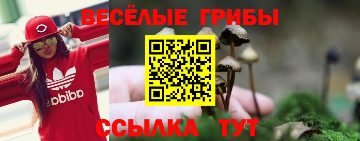 Псилоцибиновые грибы Magic Shrooms  Псилоцибиновые грибы Magic Shrooms  сколько стоит  Серов  Вход с VPN 
